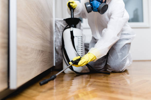 Best Emergency Pest Control  in Savannah, TN
