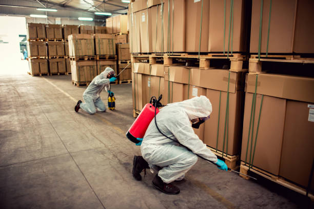 Flea Control Services in Savannah, TN
