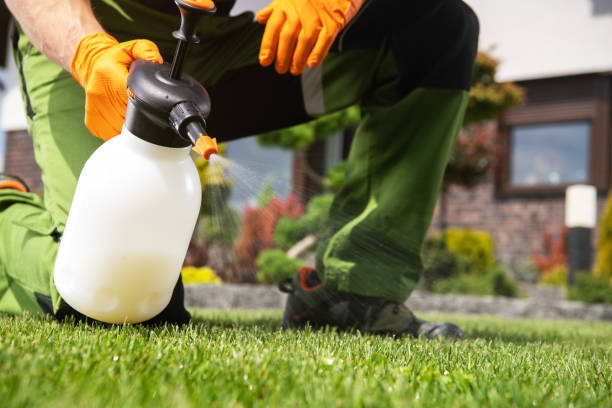 Insect Control in Savannah, TN