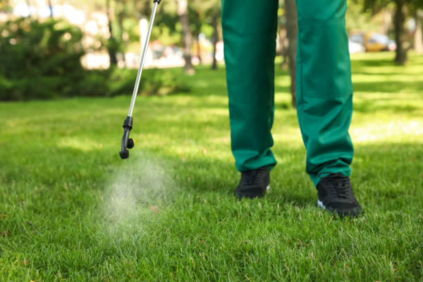 Best Pest Removal Services  in Savannah, TN