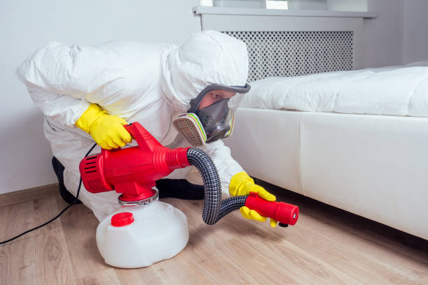 Best Local Pest Control Services  in Savannah, TN