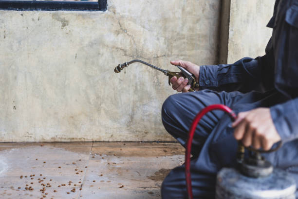 Best Termite Control Services  in Savannah, TN