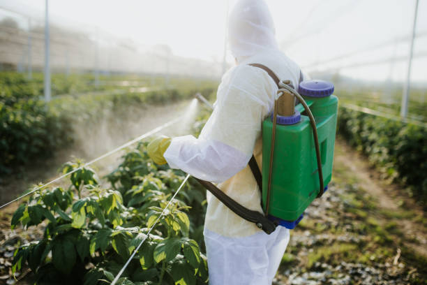 Best Mosquito Control Services  in Savannah, TN